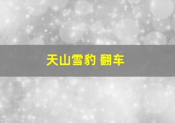 天山雪豹 翻车